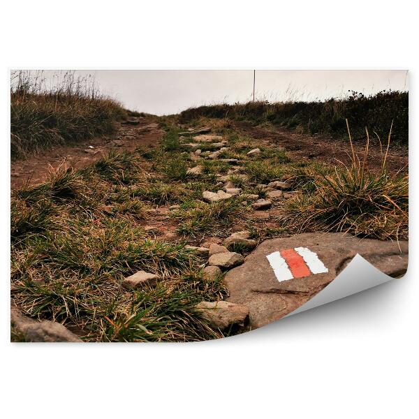 Papier peint Sentier De Montagne Herbes Verdoyantes