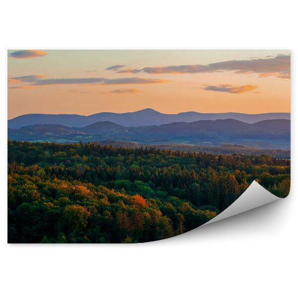 Papier peint Forêts Vertes Sur Fond De Montagnes Des Sudètes