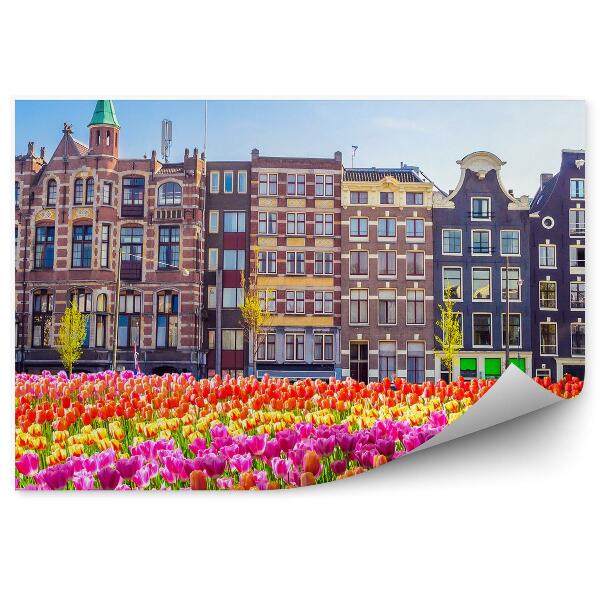 Papier peint Champ de tulipes arbres amsterdam