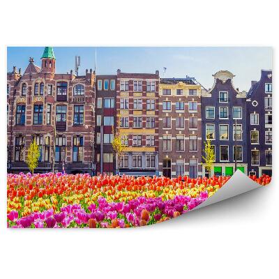 Papier peint Champ de tulipes arbres amsterdam