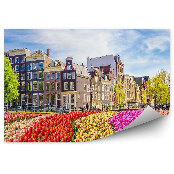 Papier peint Champ de tulipes amsterdam ville hollande