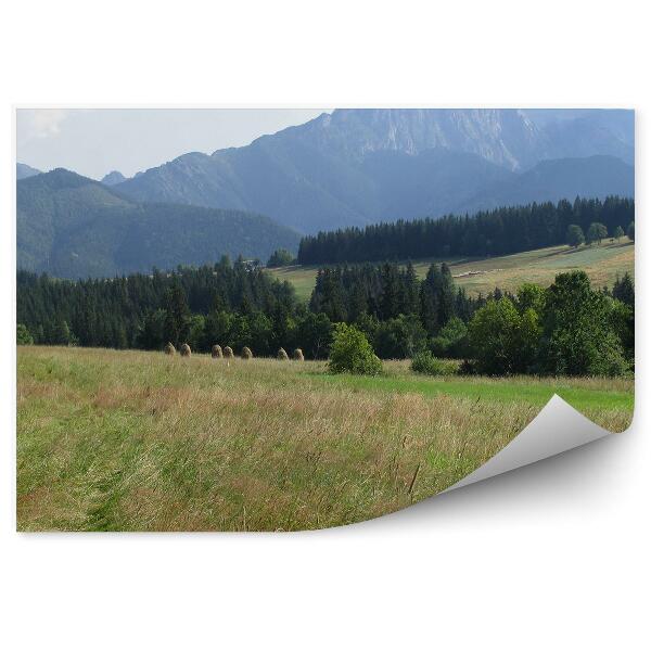 Papier peint Giewont Montagnes Conifères Prairie Ciel Nuages