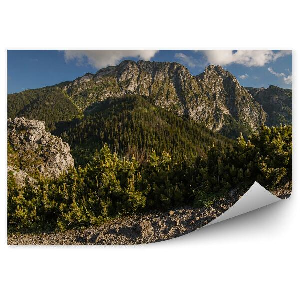 Papier peint Giewont Tatry Montagnes Arbres Conifères Roches Ciel Nuages