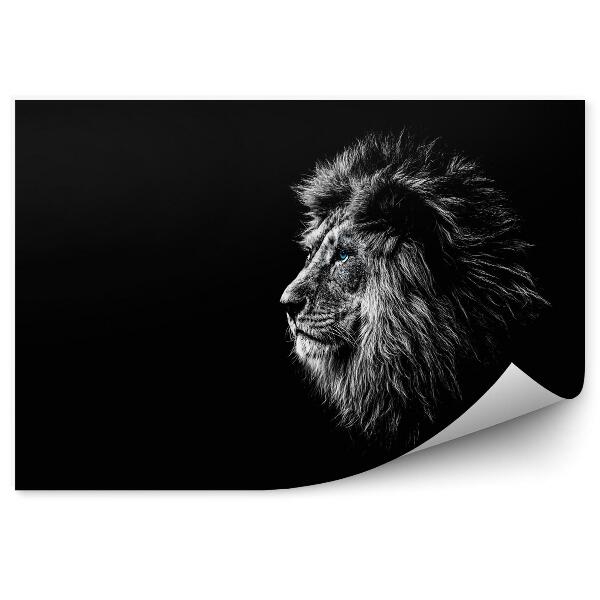 Papier peint panoramique Lion en noir