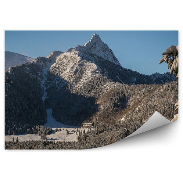 Papier peint Giewont Tatry Mountains Coniferous Trees Winter Snow