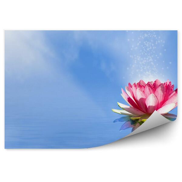 Papier peint Fleur de lotus magique eau fond bleu