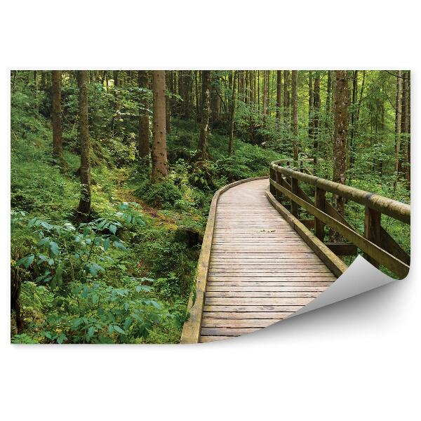 Papier peint Pont en bois traversant une forêt profonde