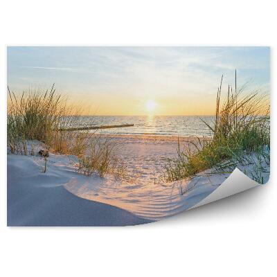 Papier peint panoramique Plage, mer, lever de soleil