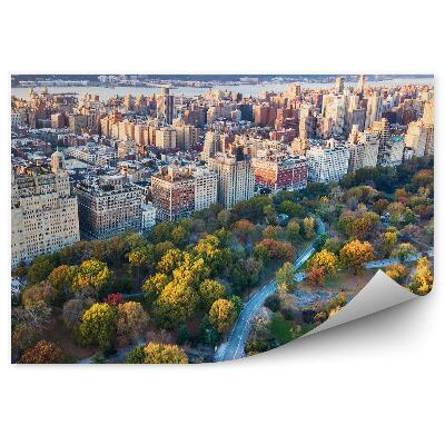 Papier peint Architecture de la ville arbres parc automne