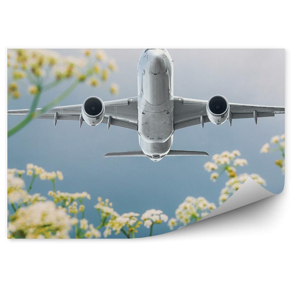 Papier peint Avion passager au-dessus de fleurs en perspective