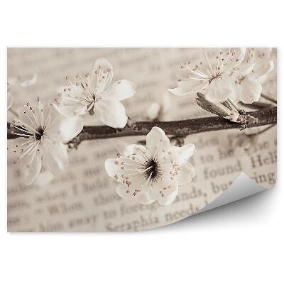 Papier peint Branches de fleurs de pommier blanches livre de texte
