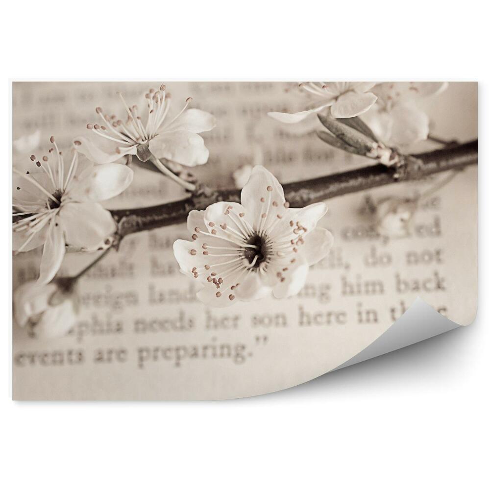 Papier peint Branches de fleurs de pommier blanches livre de texte