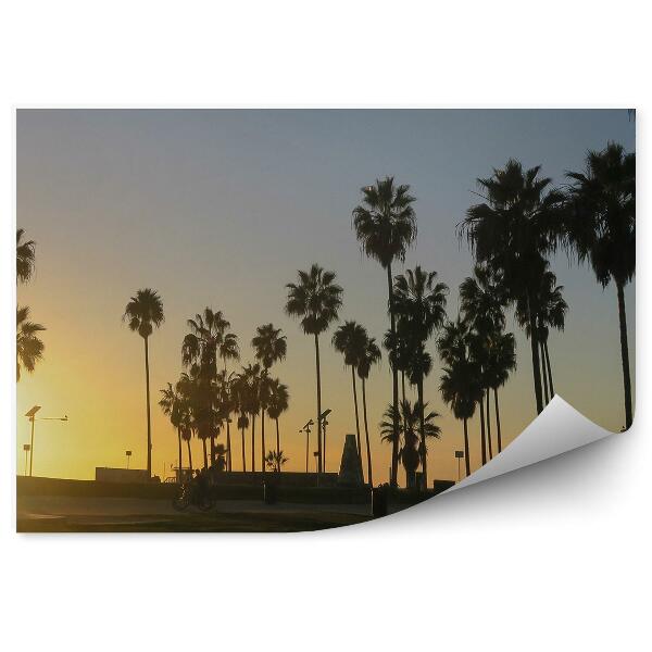 Papier peint Palmes Sunset Beach Californie