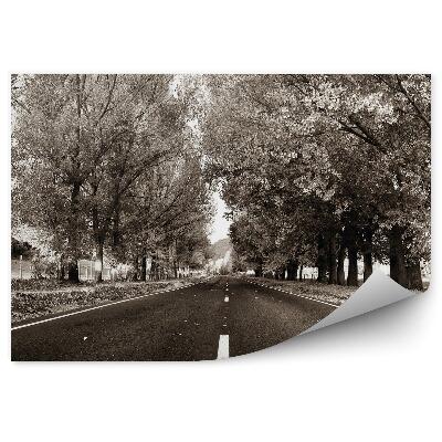 Papier peint Route pays arbres végétation