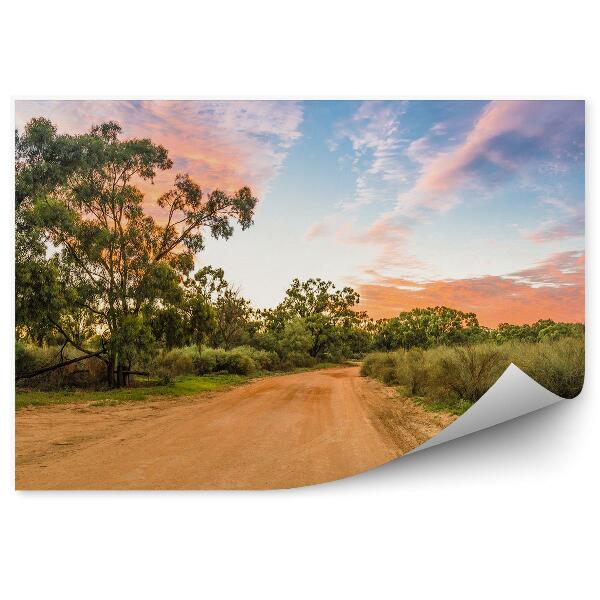 Papier peint Paysage Australien Arbres Plantes Ciel Nuages