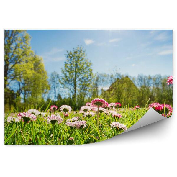 Papier peint Vert prairie marguerites fleurs arbres soleil