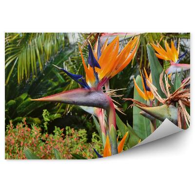 Papier peint Strelitzia Royale Belle Fleur Exotique Palmiers Plantes