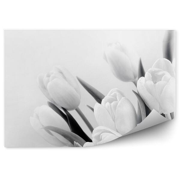 Papier peint Fleurs de tulipes motif sépia