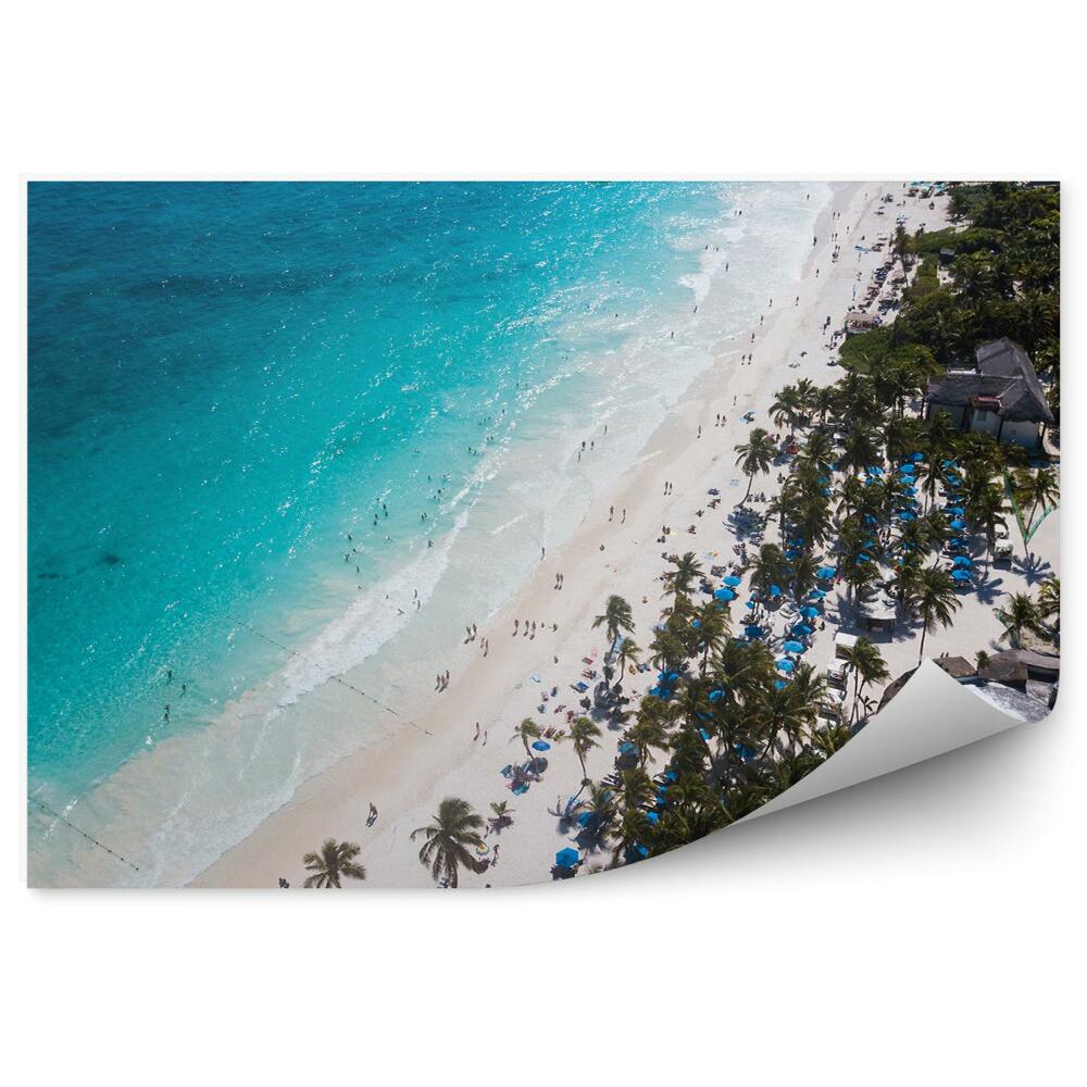 Papier peint Plage eau bleue palmiers touristes