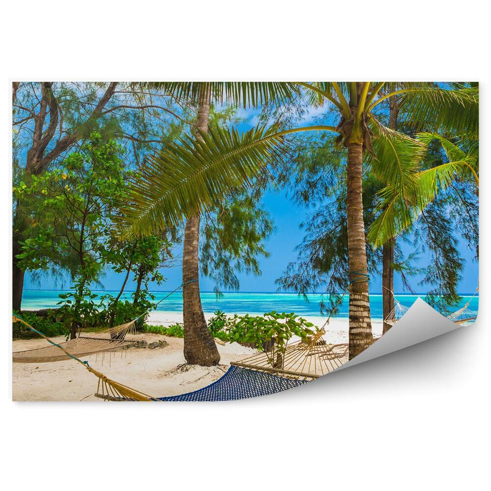 Papier peint Hamacs Plage Palmiers Océan Buissons Tanzanie