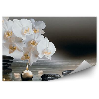 Papier peint Orchidée blanche pierres bougies d'eau