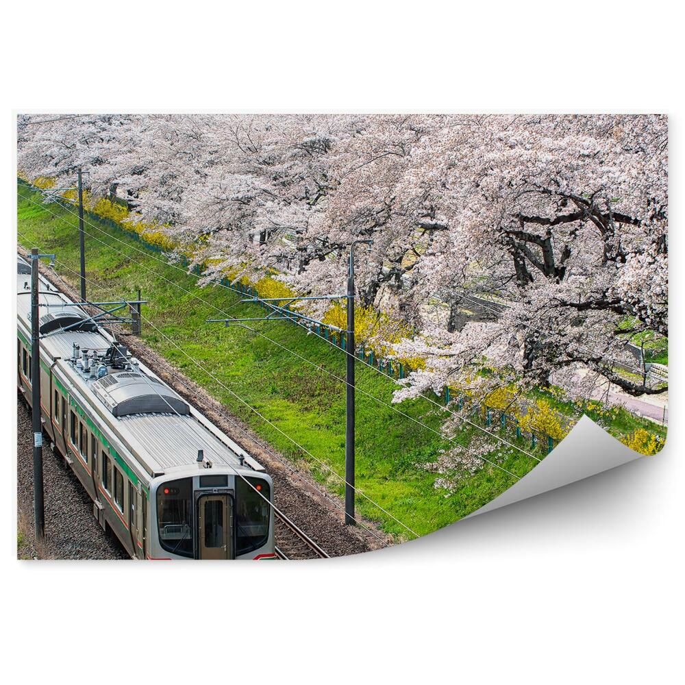 Papier peint Voie ferrée Japon fleurs de cerisier nature