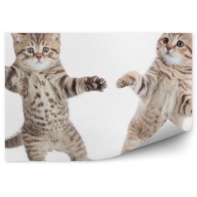 Papier peint Deux Petits Chats Dansant Fond Blanc