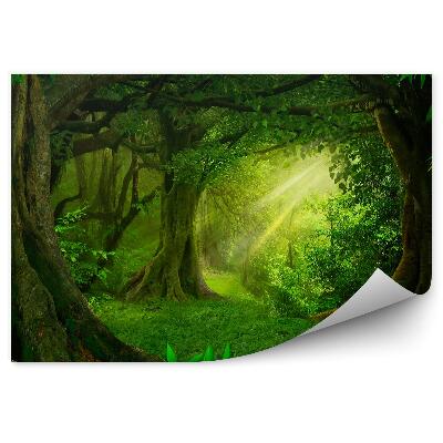 Papier peint Arbres verts de la jungle Feuilles