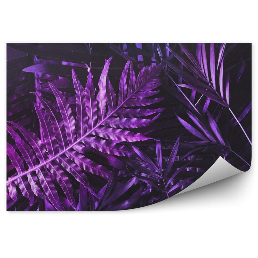 Papier peint Arrangement de feuilles violettes