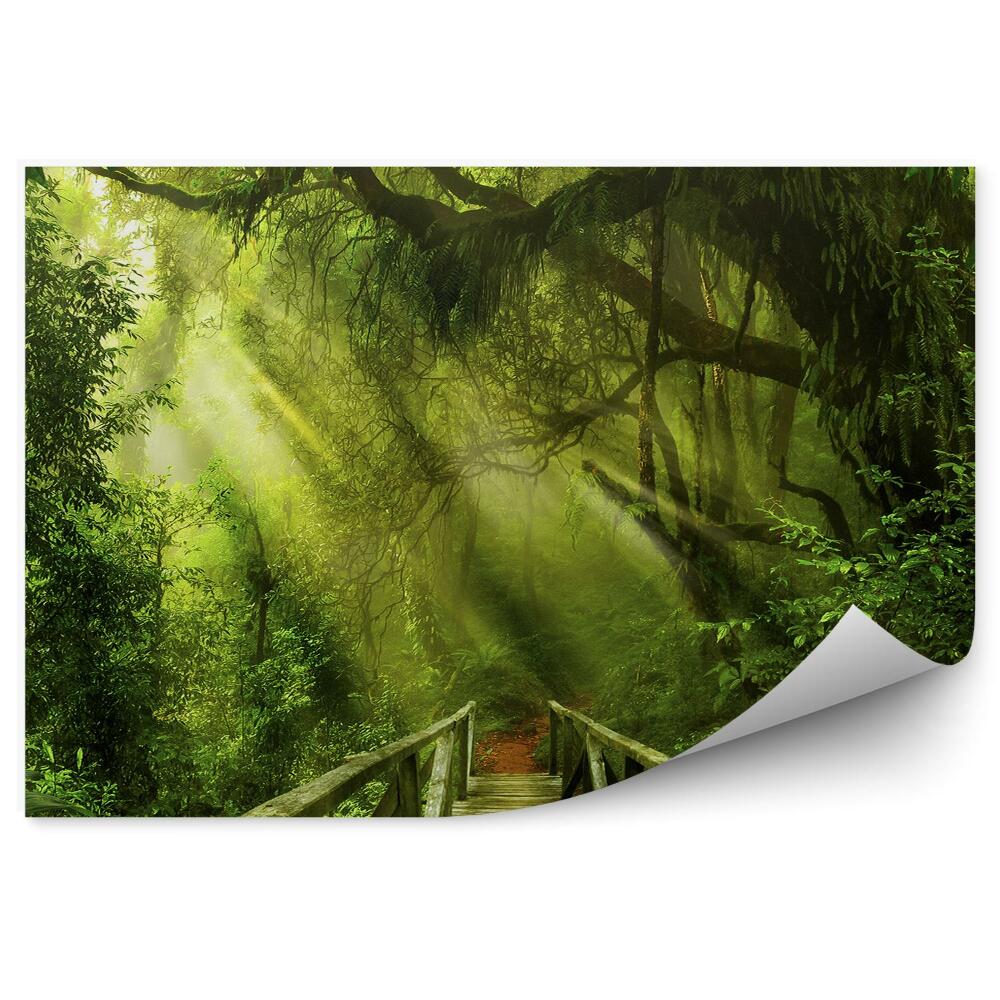 Papier peint Végétation verte de la jungle profonde Pont en bois