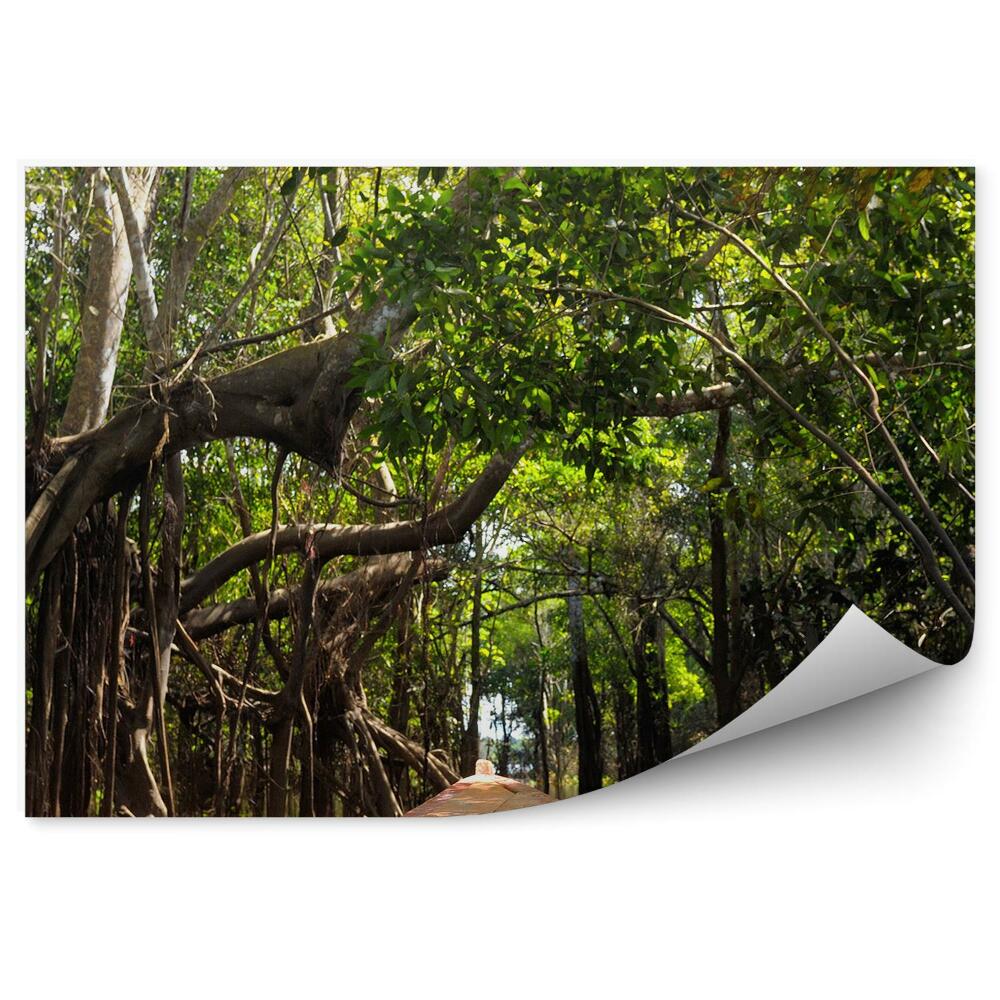 Papier peint Bateau de la jungle amazonienne Arbres Eau