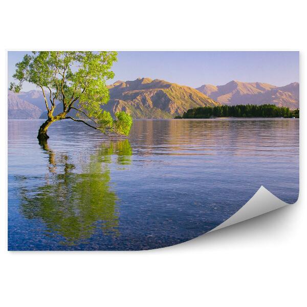 Papier peint Arbre dans un lac et montagnes