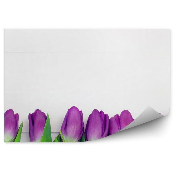 Papier peint Tulipes violettes