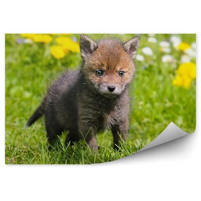 Papier peint Petit renard fleurs de pré au printemps