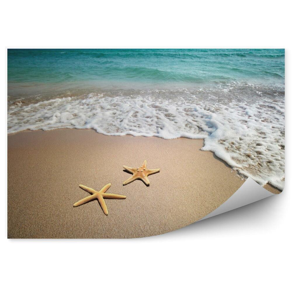 Papier peint Deux étoiles de mer sur la plage