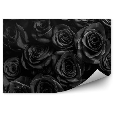 Papier peint Fleurs roses noires
