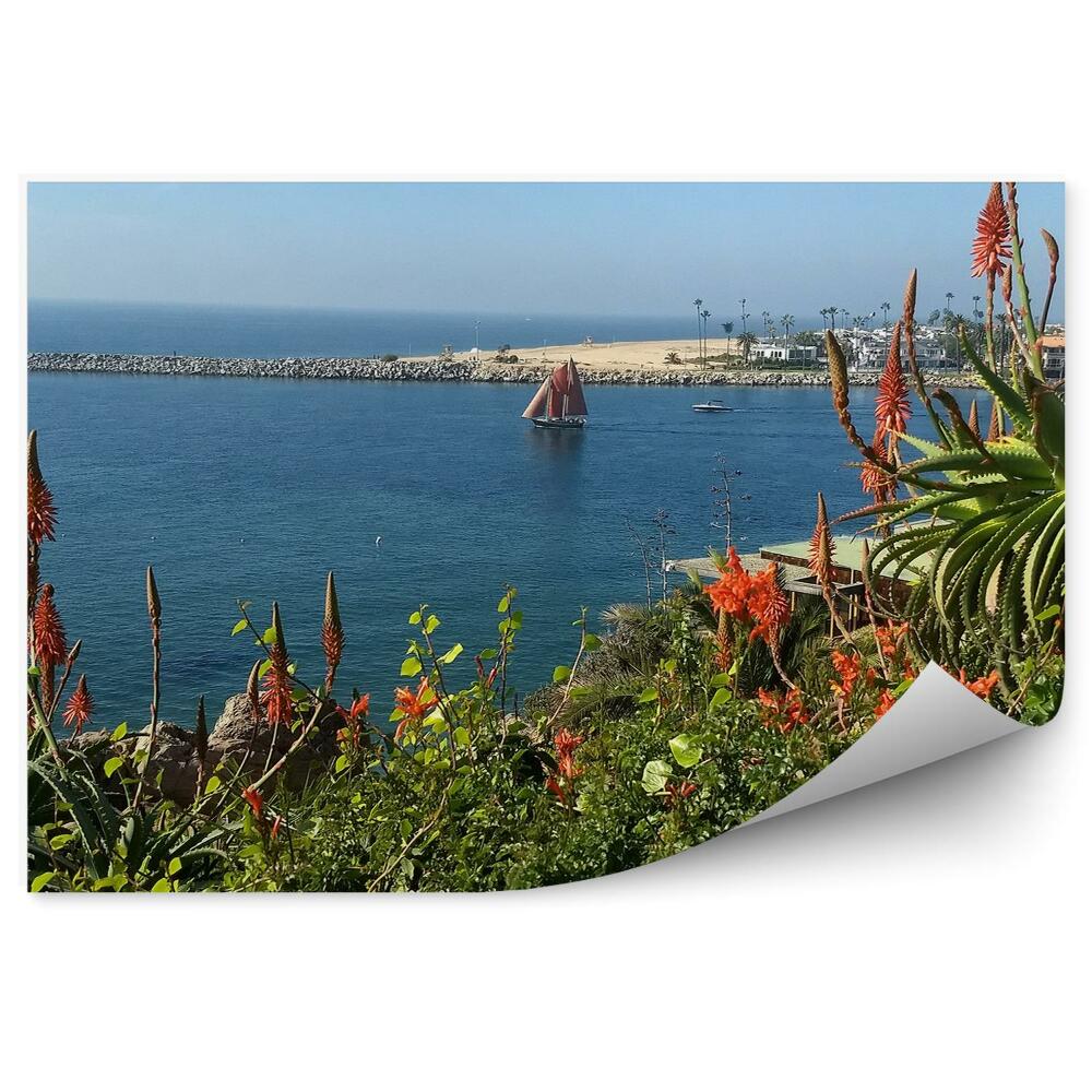 Papier peint Vue des bateaux à voile Plantes Fleurs Port Californie Ciel
