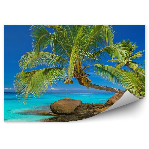 Papier peint Plage tropicale palmiers rochers eau bleue