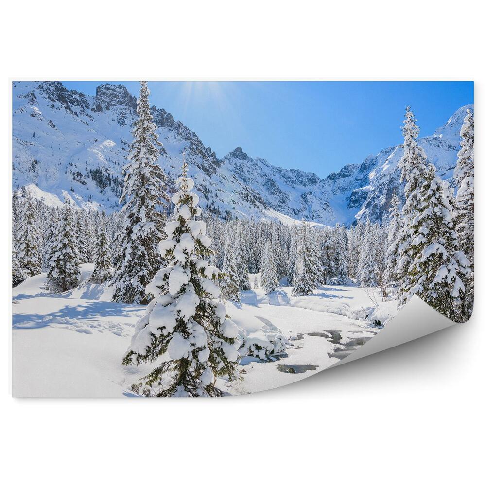 Papier peint Paysage D'hiver Forêt Œil De Mer