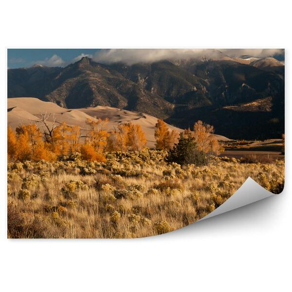 Papier peint Dunes Arbres Montagnes Ciel Nuages Plantes Parc National