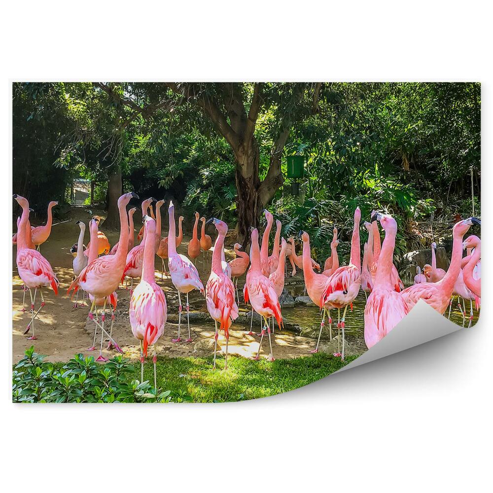 Papier peint Flamant Rose Plantes Palmiers Feuilles Exotiques