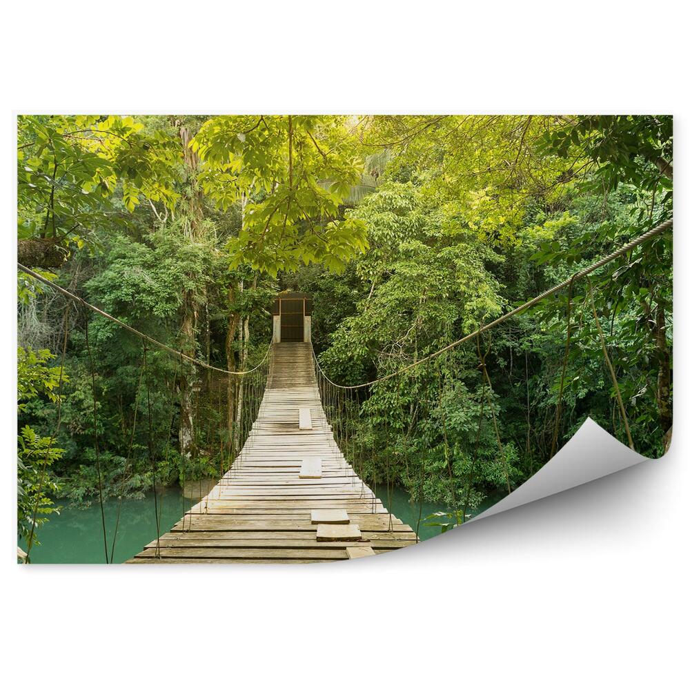 Papier peint Pont en planches de bois, corde, végétation, nature