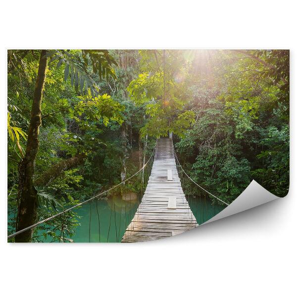 Papier peint Pont en bois dans la forêt rivière eau