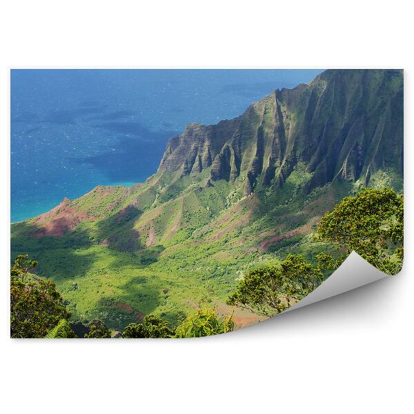 Papier peint Montagnes Océan Plantes Nature Hawaii