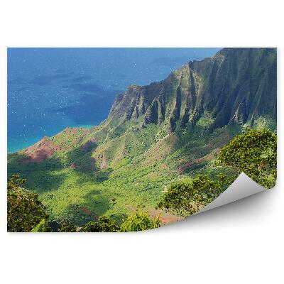 Papier peint Montagnes Océan Plantes Nature Hawaii