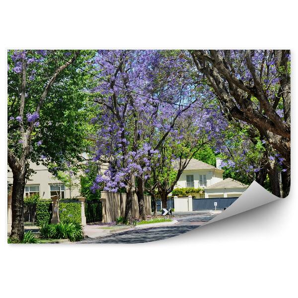 Papier peint Ville Petite rue colorée Arbres verts violets