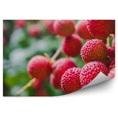 Papier peint panoramique Fruits rouges feuilles de litchi