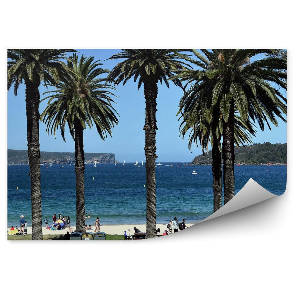 Papier peint Plage avec palmiers Sydney touristes été