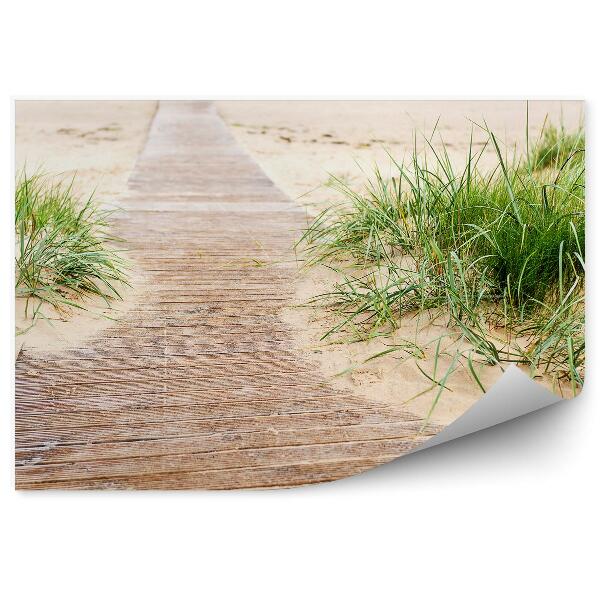 Papier peint Chemin en bois vers la mer Plage Eau