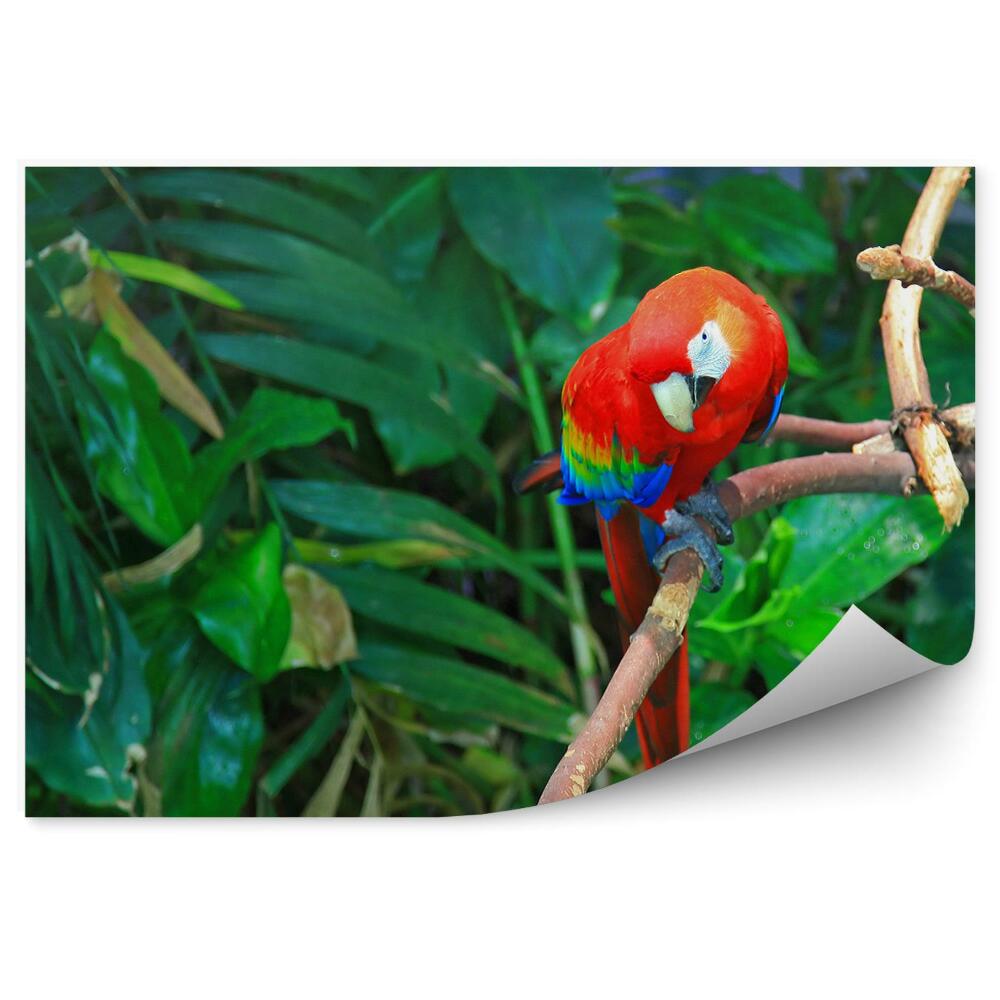 Papier peint Perroquet Ara En Arrière-Plan De La Jungle